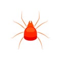 Spider Mite icon