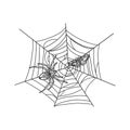Spider with moth in web sketch vector illustration Royalty Free Stock Photo