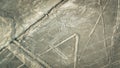 The Spider Nazca Lines aerial view, Peru Royalty Free Stock Photo