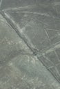 Spider Nazca lines Royalty Free Stock Photo