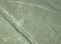 Spider, Nazca Lines Royalty Free Stock Photo