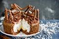 Spider nest cake decorated with chocolate spiders