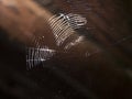 Spider net on an old house roof floor. Royalty Free Stock Photo