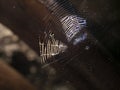 Spider net on an old house roof floor. Royalty Free Stock Photo