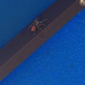 Spider with orange body