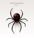 Spider with a pattern on the abdomen in the form of an ominous smile. Halloween illustration,