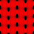 Spider pattern seamless. Poisonous dangerous insect background. Vector texture