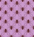 Spider pattern seamless. Poisonous dangerous insect background. Vector texture