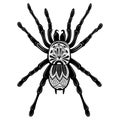 Spider with patterns. Zentangle spider. Black-white illustration of an insect with ornaments. Stylized spider. Tattoo. Royalty Free Stock Photo