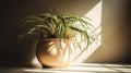 Spider Plant pot indoors with natural sunlight. Generative AI