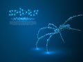Spider. Polygonal space low poly illustration. Poison, danger symbol. Connection wireframe mesh structure. Vector
