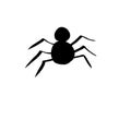 Black spider on a white background