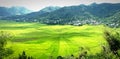 Spider rice field at ruteng Royalty Free Stock Photo