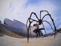 Spider Sculpture in Bilbao