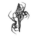 Spider and sea shell illustration. handdraw vector illustrator. line art. tattoo design. symbol and sign vector