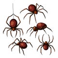 spider set sketch hand drawn vector Royalty Free Stock Photo