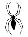 Spider silhouette. Black close-up insect, scary big spider isolated on white. Poisonous dangerous animal. Creepy