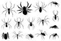 Spider silhouette collection. Black close-up insect, scary big spider isolated on white. Poisonous dangerous animal