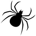 Spider. Silhouette. Vector illustration. Outline on an isolated white background. Flat style. Bloodthirsty predator. Black Widow.