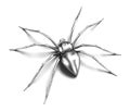 Spider - silver metallic. Black Widow