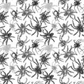 Spider sketch vector set of illustration. Hand drawn style picture. Royalty Free Stock Photo