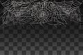 Spider spooky web decoration for background vector illustration on transparent background Royalty Free Stock Photo