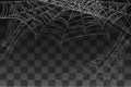 Spider spooky web decoration for background vector illustration on transparent background Royalty Free Stock Photo