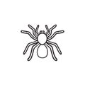 Spider tarantula hand drawn sketch icon. Royalty Free Stock Photo