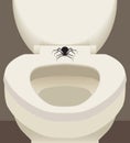 Spider On Toilet Seat