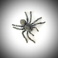 Spider toy on white background and vignettes