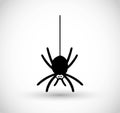 Spider vector icon Royalty Free Stock Photo