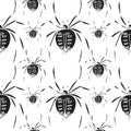 Spider vector seamless pattern