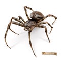 Spider vectorized image. 3d realistic vector icon Royalty Free Stock Photo