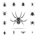 spider wasp. Detailed set of insects items icons. Premium quality graphic design. One of the collection icons for websites, web de