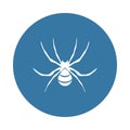 spider wasp icon. Element of insect icons for mobile concept and web apps. Badge style spider wasp icon can be used for web and mo