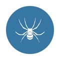 spider wasp icon. Element of insect icons for mobile concept and web apps. Badge style spider wasp icon can be used for web and mo