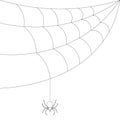 The spider weaves a web. Sketch. Bloodthirsty predator. Black Widow. Vector illustration. Coloring book for children.