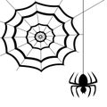 Spider web Royalty Free Stock Photo