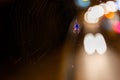 Spider on a web against a background of blurry lights at night. Royalty Free Stock Photo