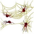 Spider web background for Halloween greeting cards on a white background. A black and red spider on a yellow cobweb Royalty Free Stock Photo