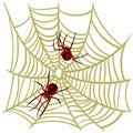 Spider web background for Halloween greeting cards on a white background. A black and red spider on a yellow cobweb hunts and Royalty Free Stock Photo