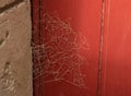 Spider web  background on the old  door,closeup, history Royalty Free Stock Photo