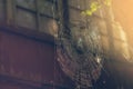 Spider web on background of old house Royalty Free Stock Photo