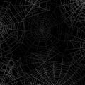 Spider web background. Spooky cobweb for halloween, black grunge poster with spider webs silhouette texture. Scary party Royalty Free Stock Photo