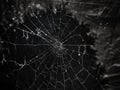 Spider web on black textured background Royalty Free Stock Photo