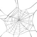 Spider web Royalty Free Stock Photo