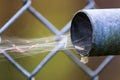 Spider web on a broken chain link fence Royalty Free Stock Photo