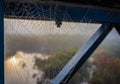 Spider web captures moisture from the air as droplets of water form along its silken strands.