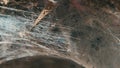 The Spider Web close up, Macro shoot Royalty Free Stock Photo