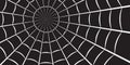 Spider web or cobweb. Halloween net background. Vector illustration Royalty Free Stock Photo